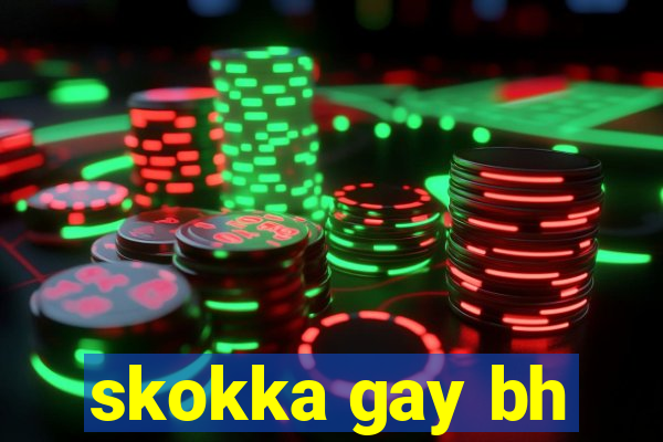 skokka gay bh